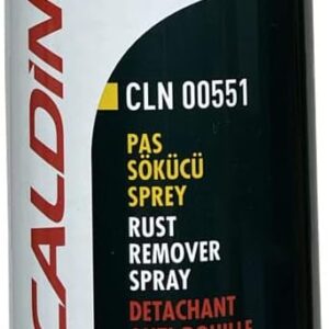 CALDİNİ PAS SÖKÜCÜ SPREY 400 ML