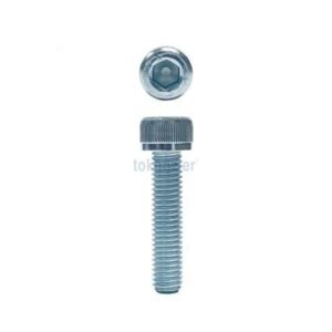 M5X25 İMBUS CİVATA BEYAZ